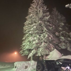 Meet your Posher, Charlie